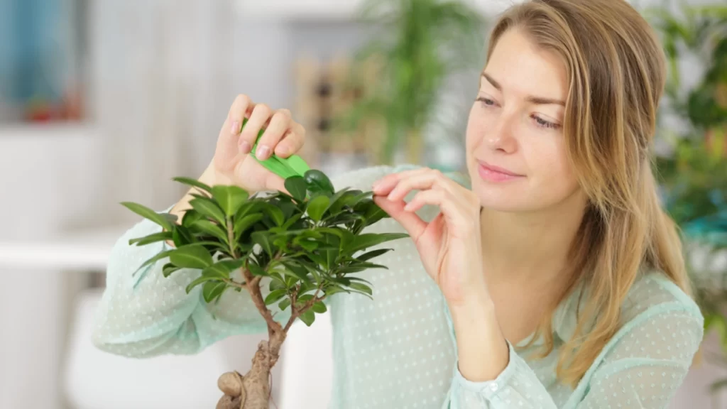 Mulher cuidando de planta em vaso, representando harmonia e energia positiva na decoração Feng Shui Uniflex